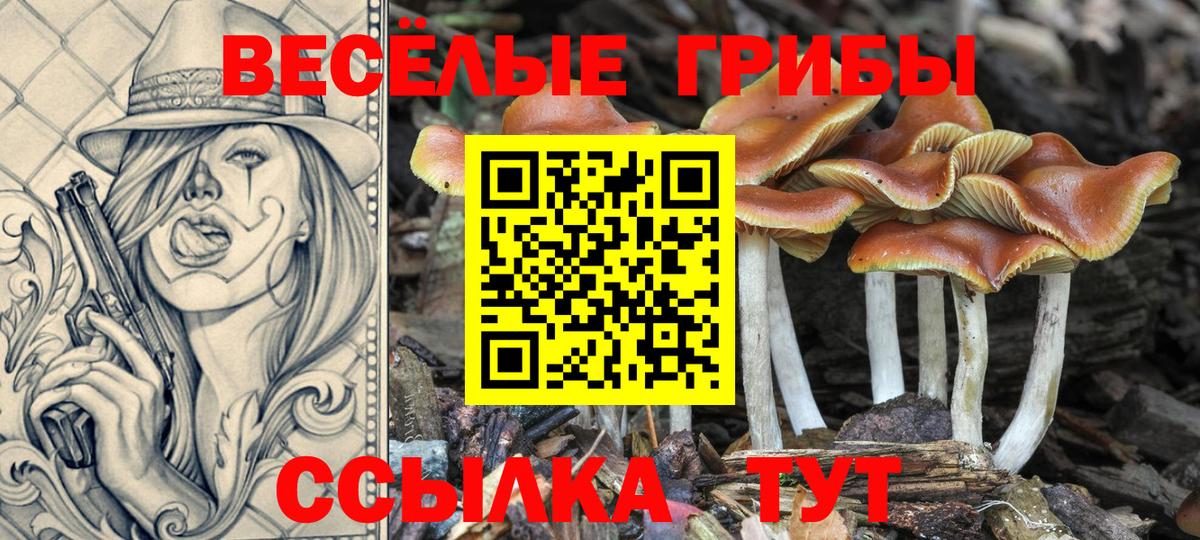 Галлюциногенные грибы Cubensis Коммунар